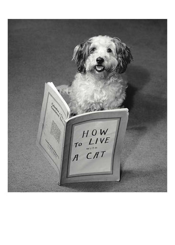 Conquer It All Birthday Card
