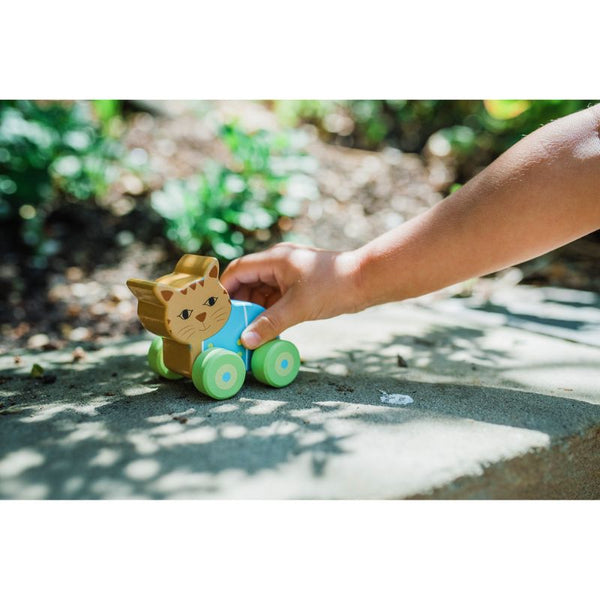 Peter Rabbit First Push Toys