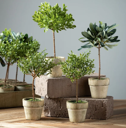 Potted Mini Tree (3 Styles)