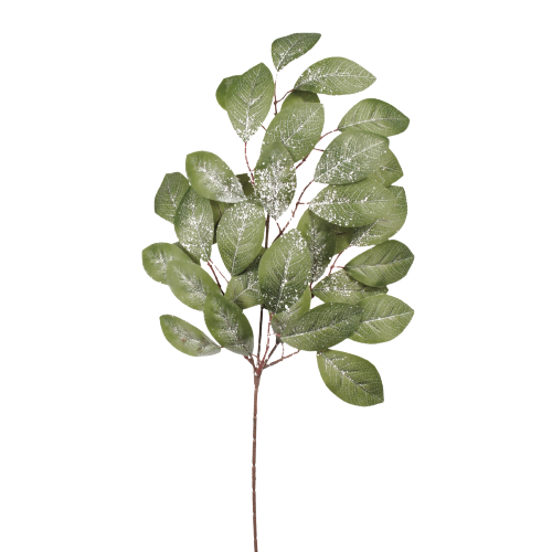 Iced Laurel Leaf Spray