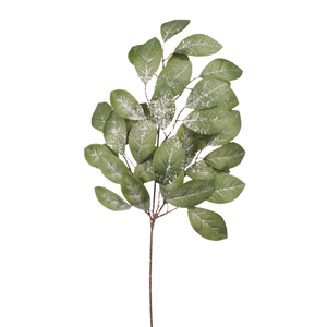 Iced Laurel Leaf Spray