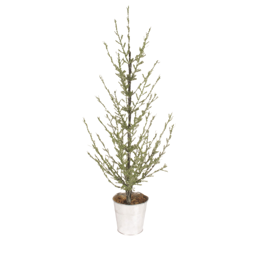 Juniper Potted TableTop Tree