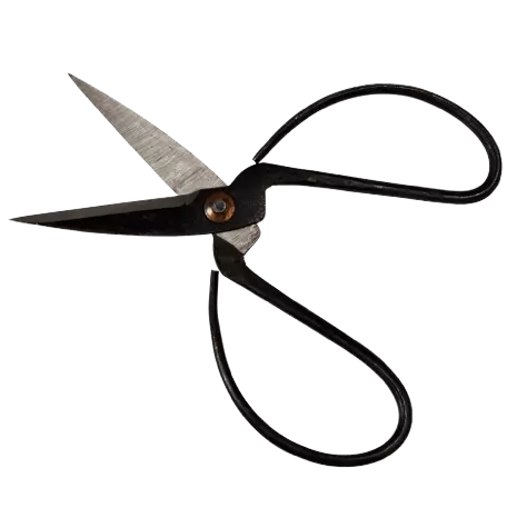 Gardener's Scissors - Your Garden