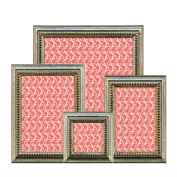 Florentine Frame - Palatino Silver