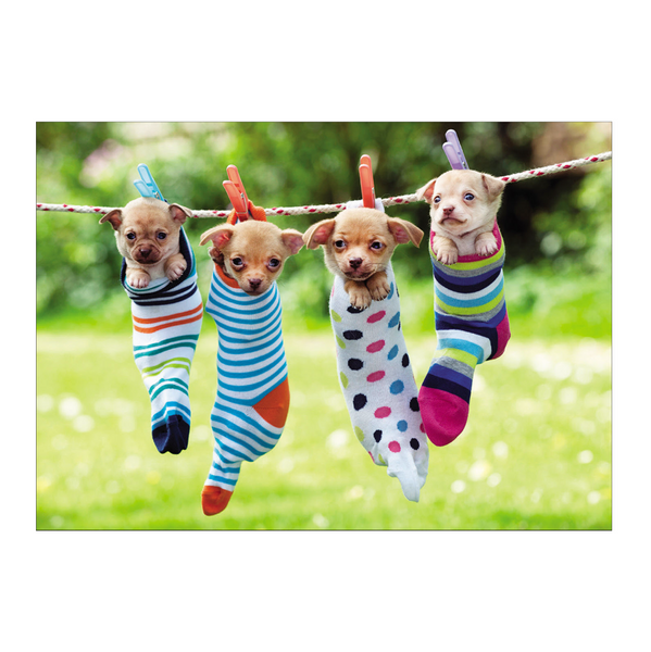Sock Puppies Birthday Card