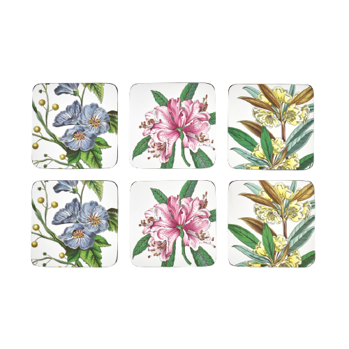 Stafford Blooms Coasters Set of 6