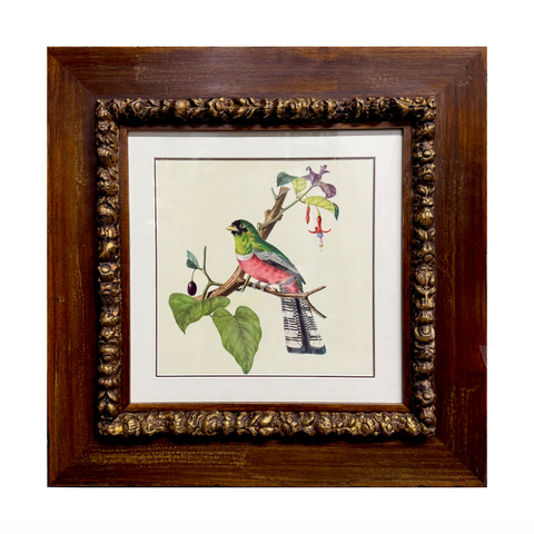 Vintage Song Bird Framed Print