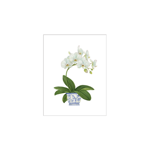 White Orchid Gift Enclosure Cards