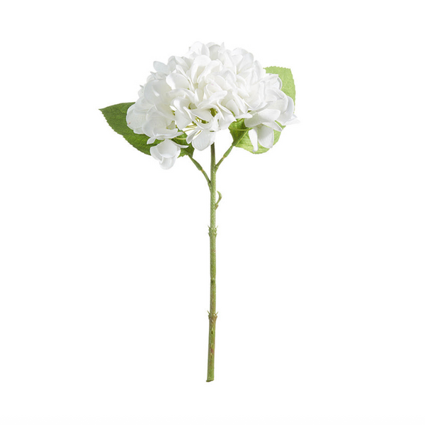 White Hydrangea Stem
