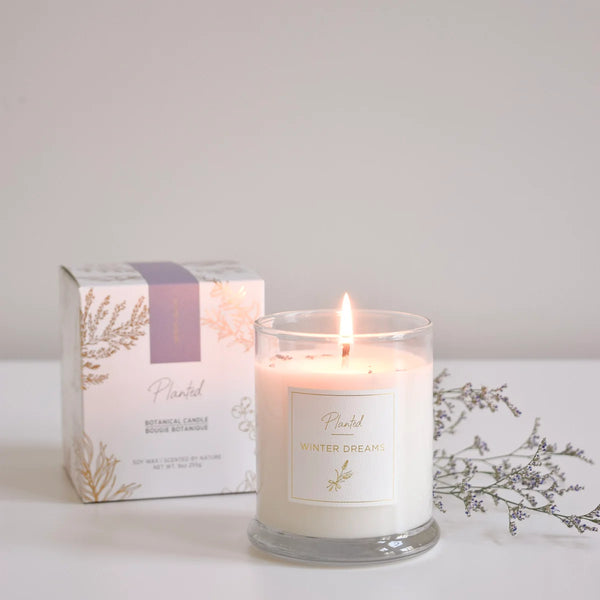 Winter Dreams Planted Candle