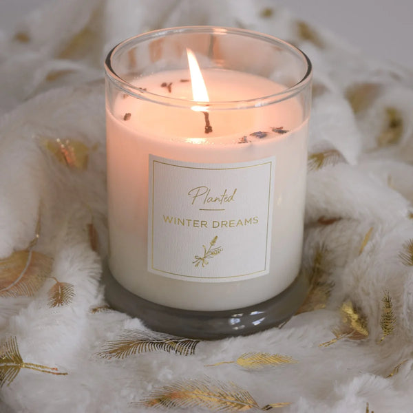 Winter Dreams Planted Candle