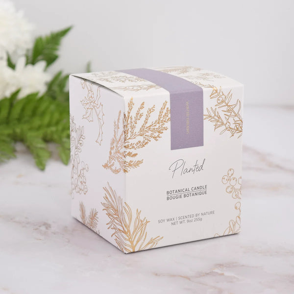 Winter Dreams Planted Candle