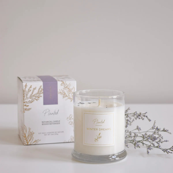Winter Dreams Planted Candle