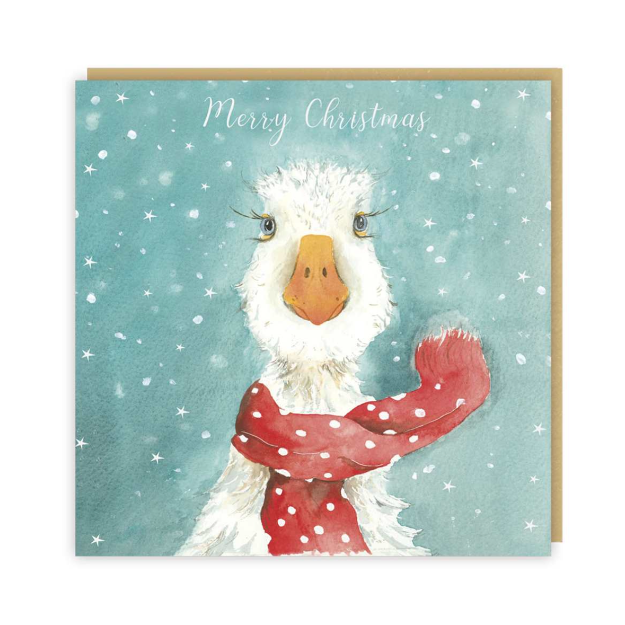 Winter Duck Boxed Cards