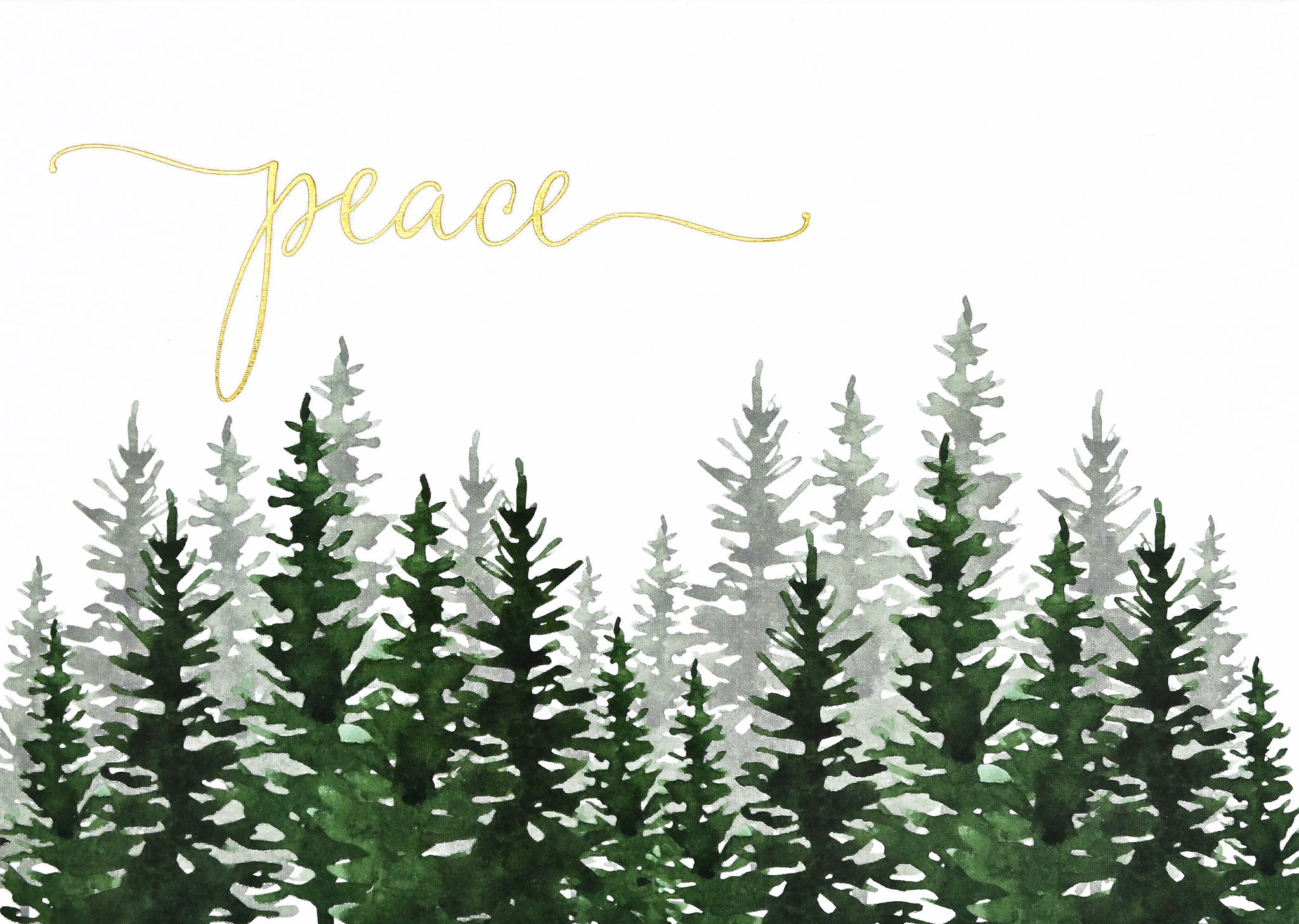 Winter Evergreens Deluxe Boxed Holiday Cards s/20