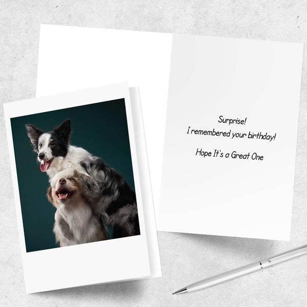Two Dogs Hugging Happy Birthday Greeting Card