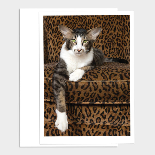 All Ears Cat Happy Birthday Greeting Card