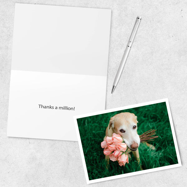 Pink Roses Thank You Greeting Card