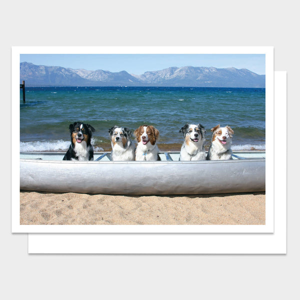 Dogs in Canoe Happy Birthday Card