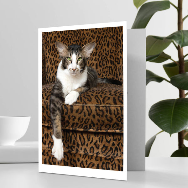 All Ears Cat Happy Birthday Greeting Card
