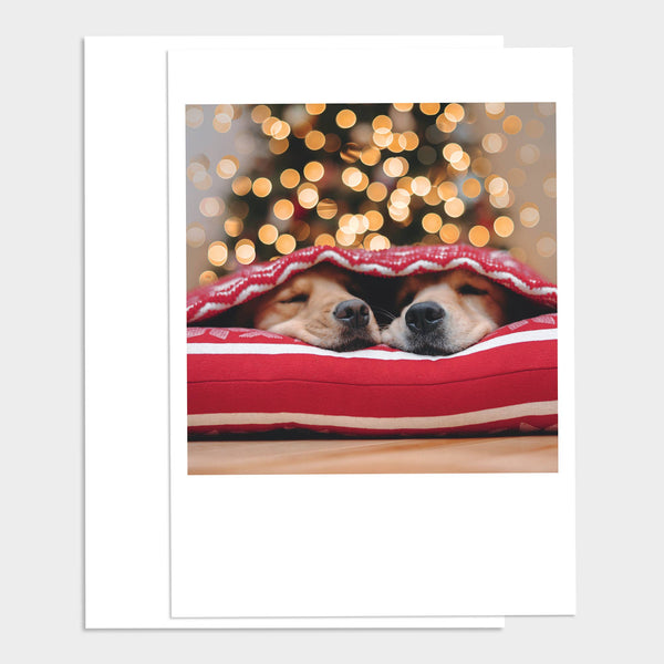 Waiting for Santa Happy Holidays Greeting Card
