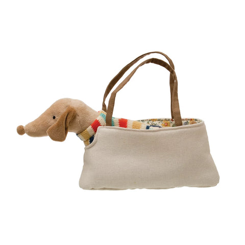 Dachshund in Sweater in Carrier