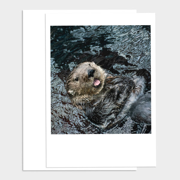 Baby Otter Smiling Happy Birthday Greeting Card