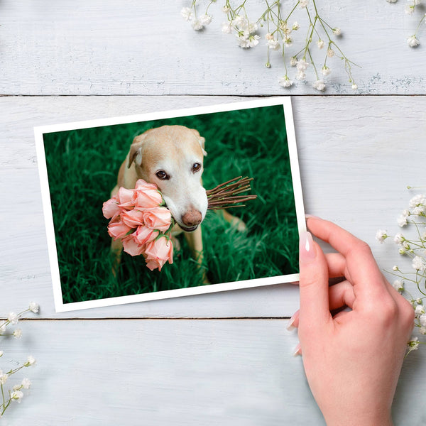 Pink Roses Thank You Greeting Card