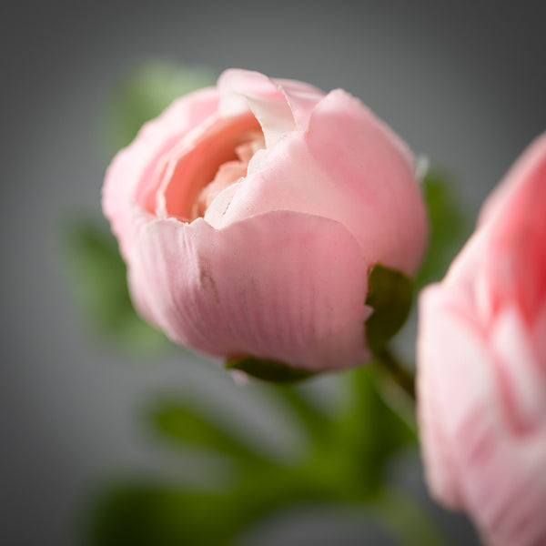 Ranunculus Spray