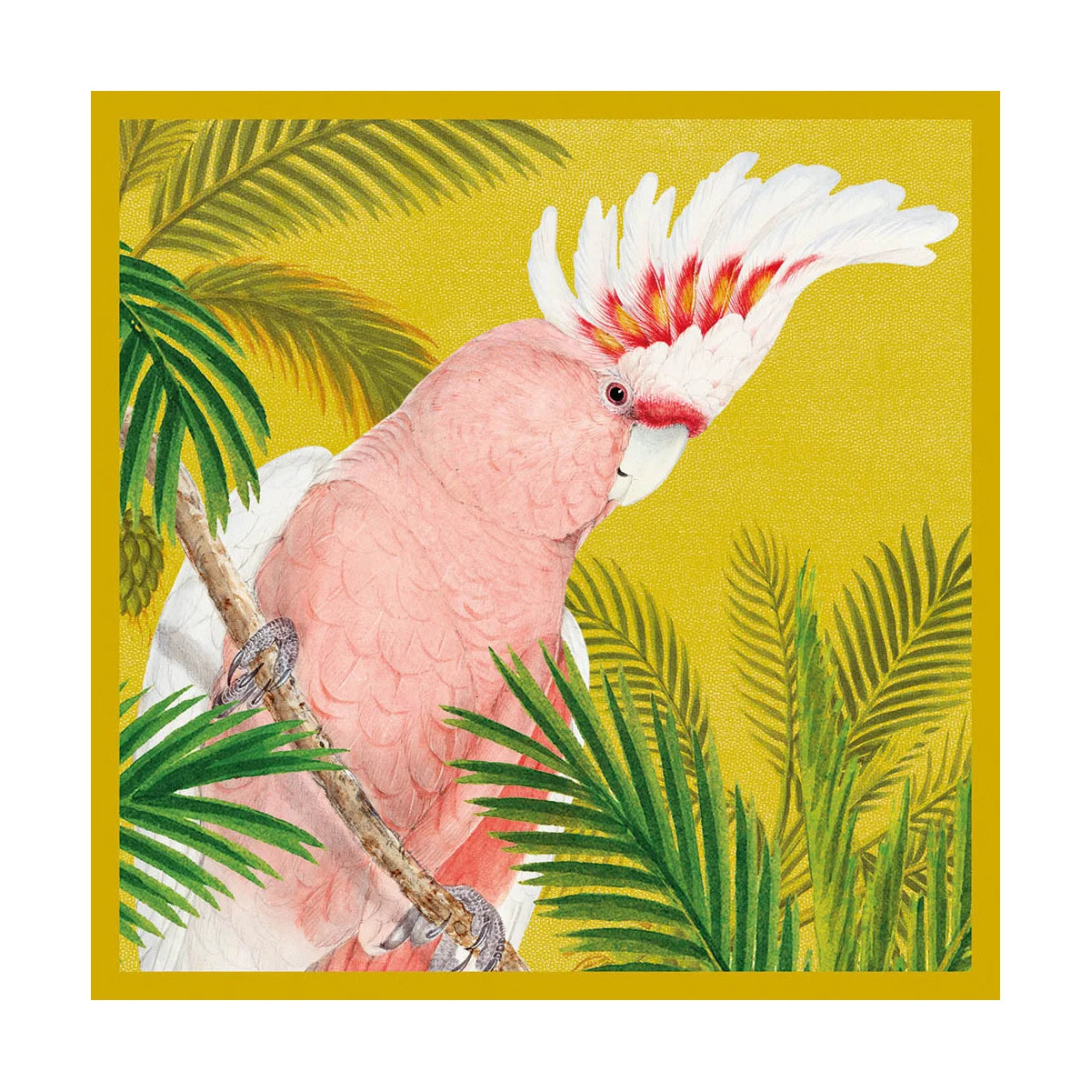 Pink Cockatoo Museums & Galleries Card