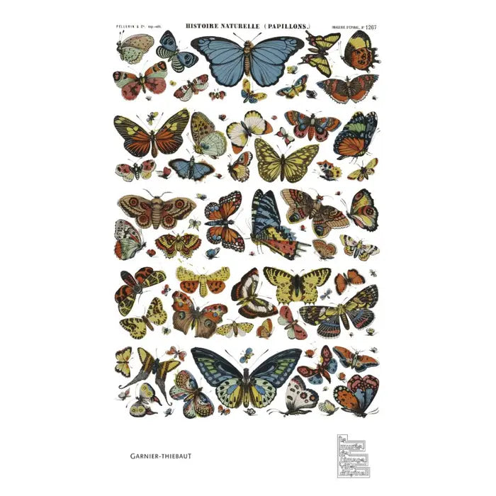 Papillons Vintage Garnier Thiebaut French Tea Towel
