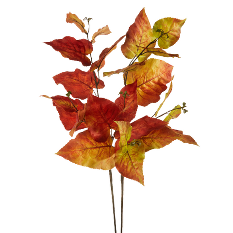 Redbud Tree Leaf Spray