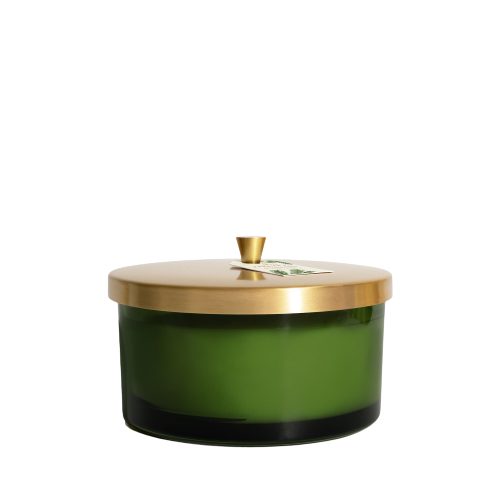 Frasier Fir Green 4-Wick Candle 21 oz