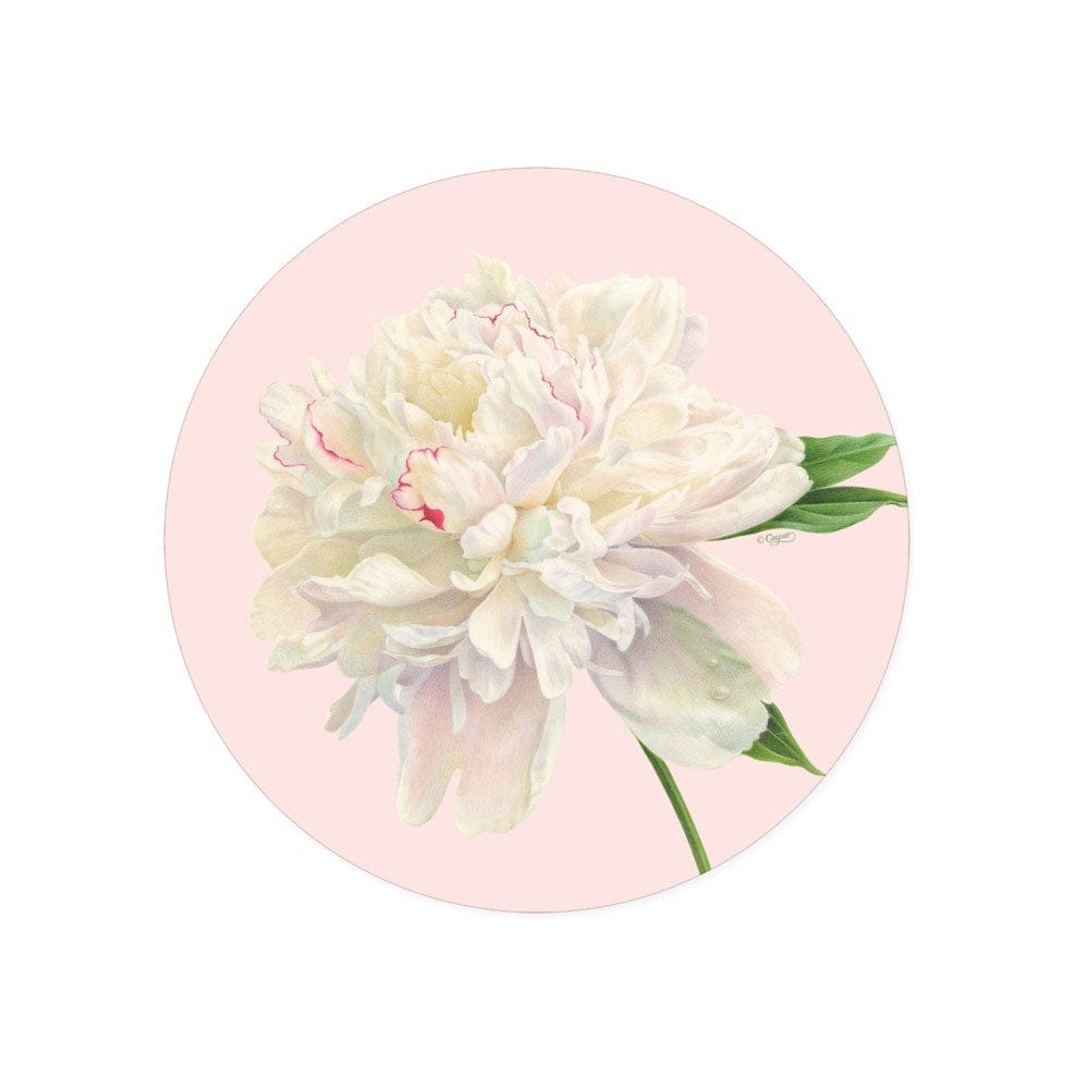 Duchess Peonies Paper Salad & Dessert Plates in Blush