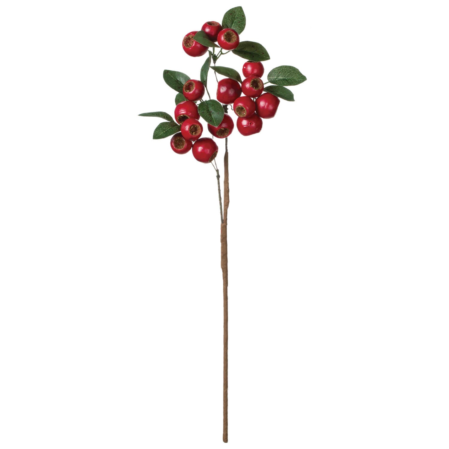 Red Berry Spray