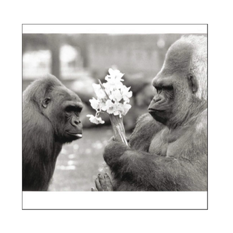 Gorillas Holding Bouquet Card