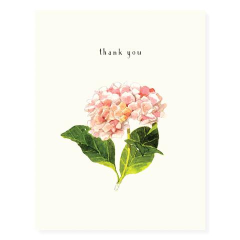 Pink Hydrangeas Thank You Card
