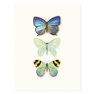 Butterfly Trio Card