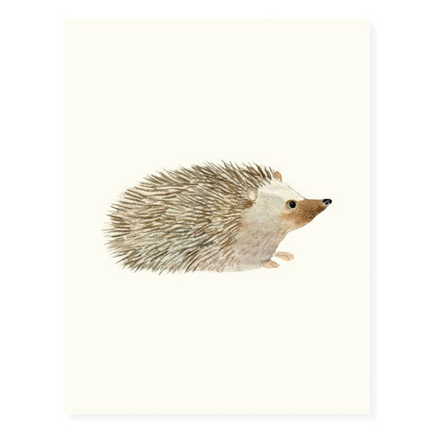 Hedgehog Blank Card