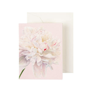 Duchess Gift Enclosure Cards - 4 Mini Cards & 4 Envelopes