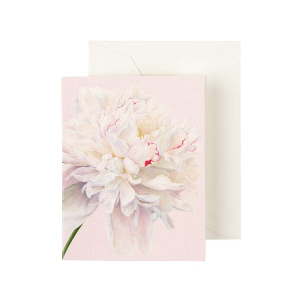 Duchess Gift Enclosure Cards - 4 Mini Cards & 4 Envelopes