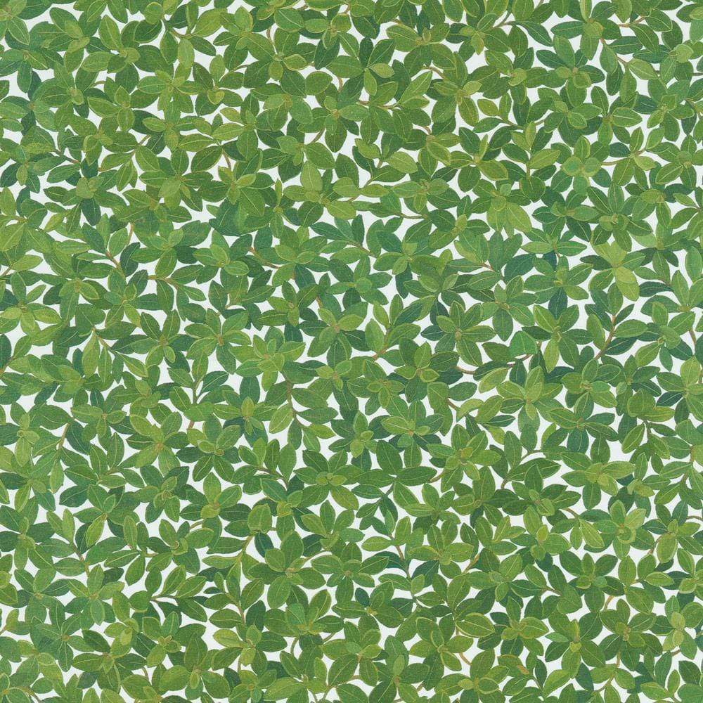 Boxwood Ivory Matte Wrapping Paper