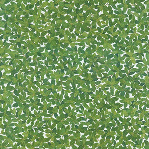 Boxwood Ivory Matte Wrapping Paper