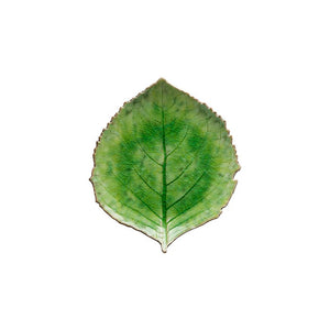 Riviera Tomate Hydrangea Leaf