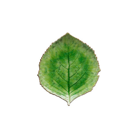 Riviera Tomate Hydrangea Leaf