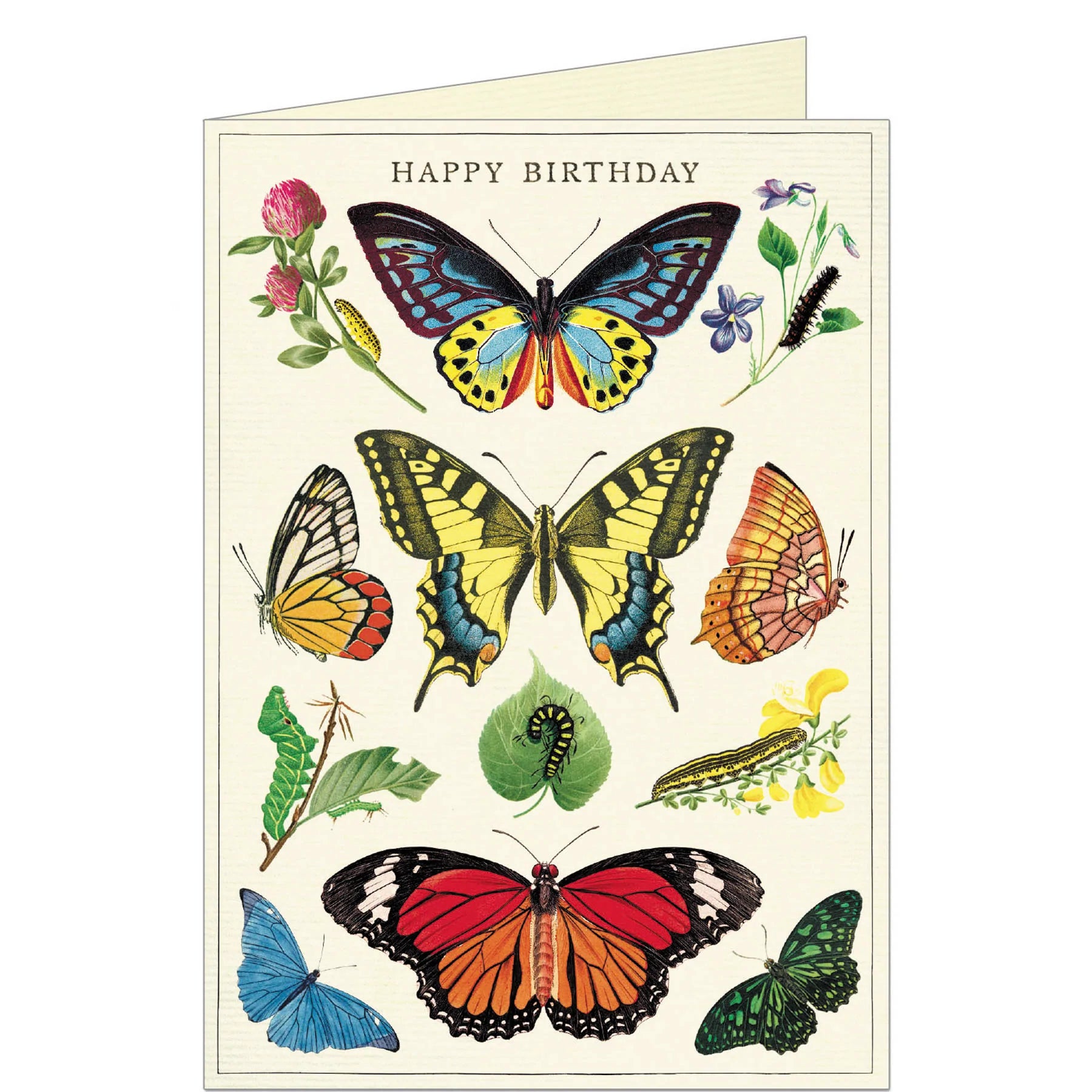 Happy Birthday Butterflies Card