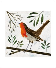 Robin Card