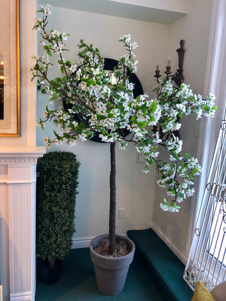 Cherry Blossom Tree