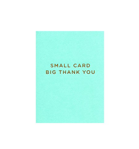 Small Card Big Thank You Greeting Card