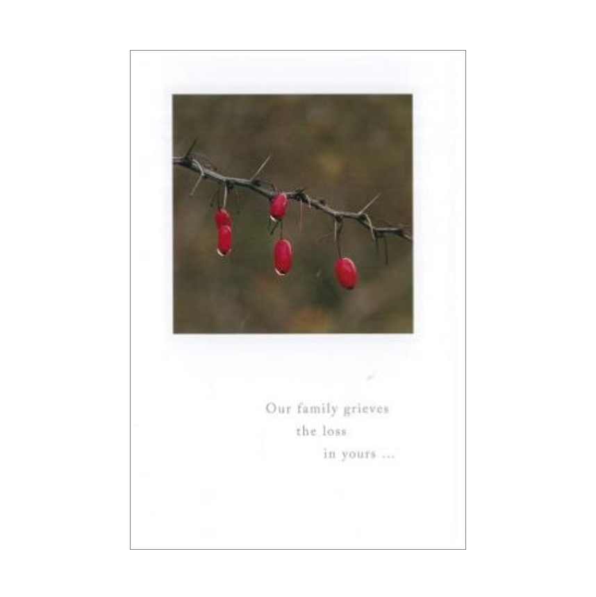 Our Family Grieves The Loss Card